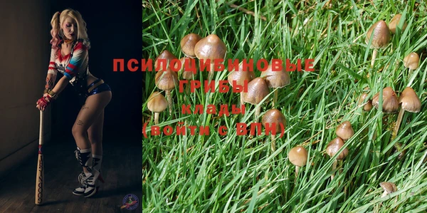 шишки Верхнеуральск