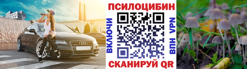 Галлюциногенные грибы Psilocybine cubensis Семёнов